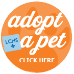 Adoption Button Link