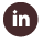 linkedin icon